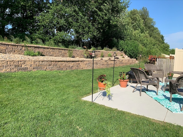 view of yard with a patio