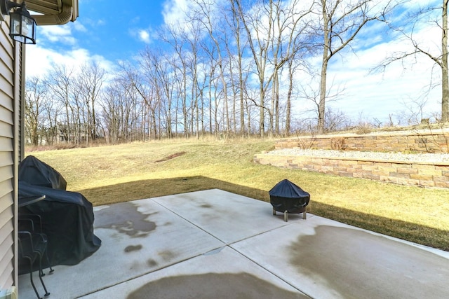 view of patio / terrace with area for grilling