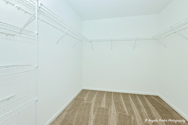 spacious closet with light colored carpet