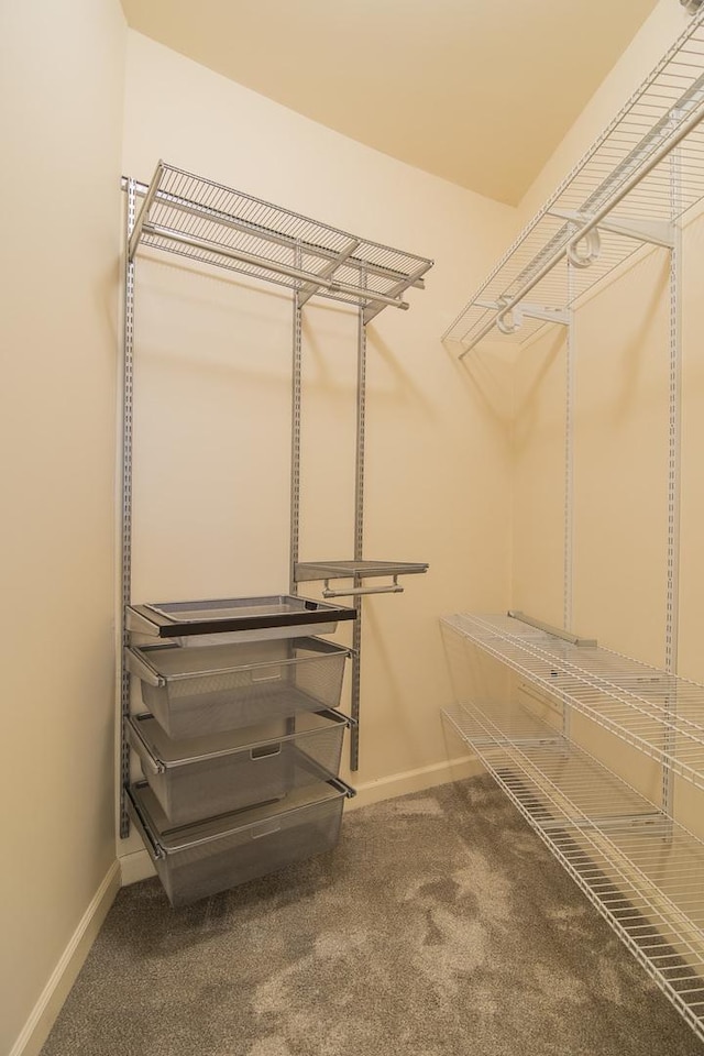 1322 S Prairie Ave Unit 1413, Chicago, IL 60605 - spacious closet with carpet flooring