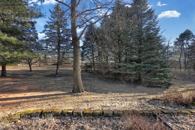 view of local wilderness