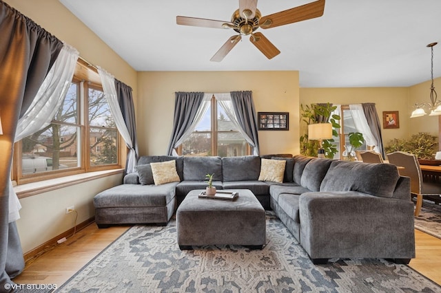 living area featuring ceiling fan with notable chandelier, a healthy amount of sunlight, baseboards, and wood finished floors