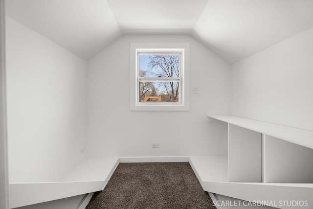 bonus room featuring carpet flooring, baseboards, and lofted ceiling