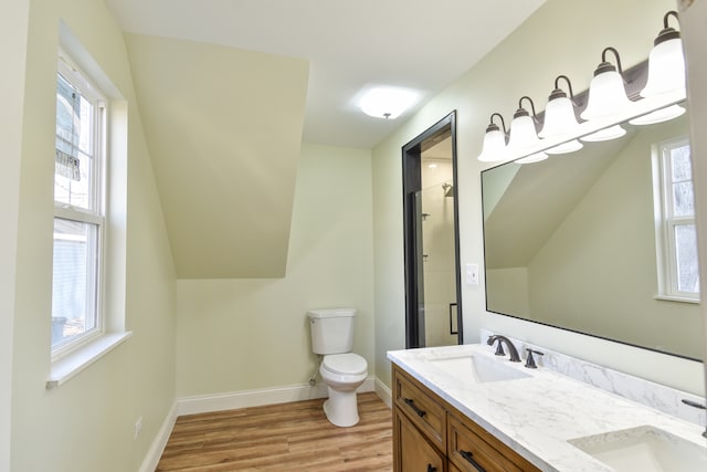 bathroom featuring a healthy amount of sunlight, toilet, a shower stall, and a sink