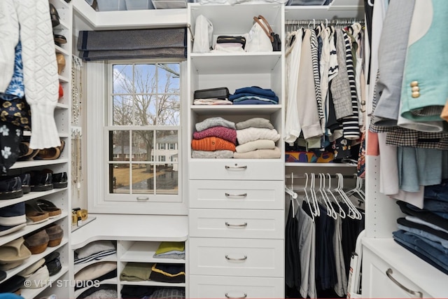 view of spacious closet