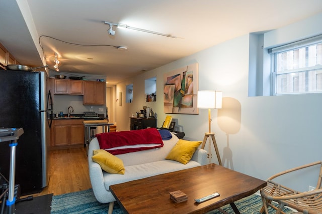 living area featuring light wood finished floors and rail lighting