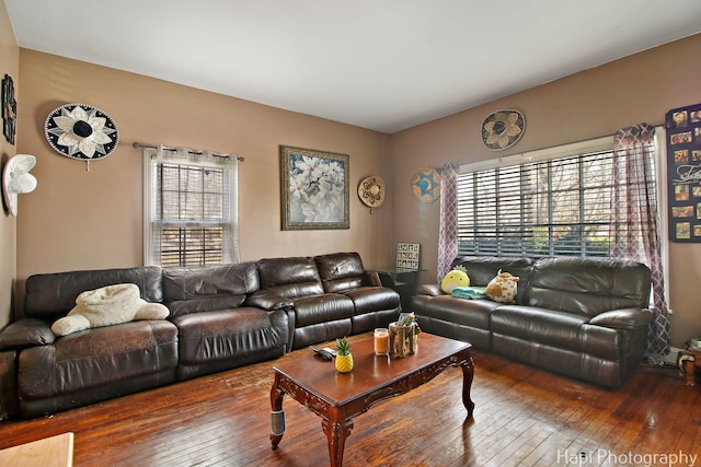 living area with hardwood / wood-style floors