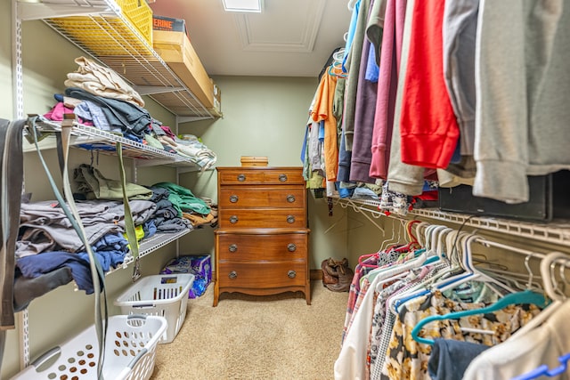 view of spacious closet