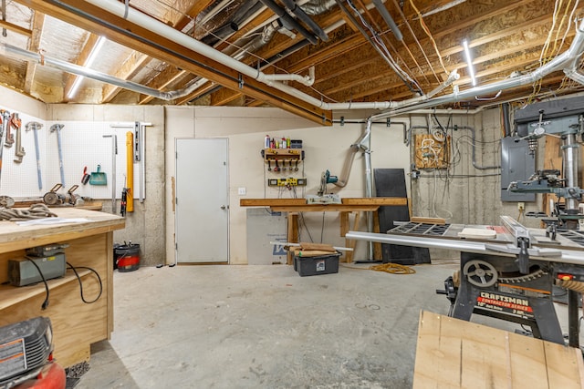 basement featuring a workshop area