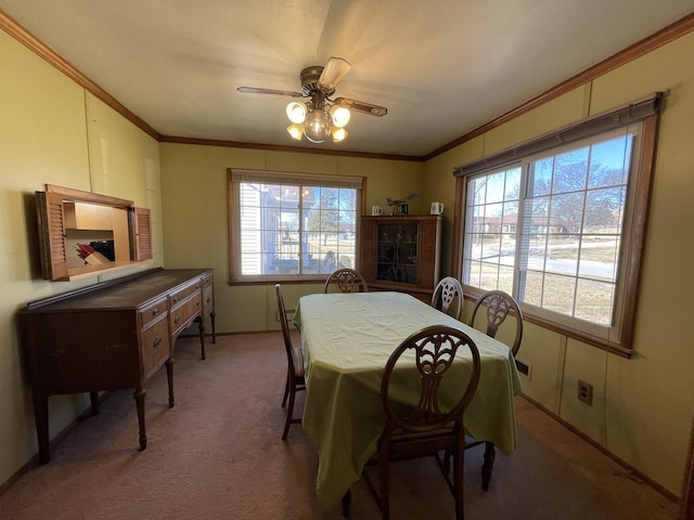 carpeted dining area featuring plenty of natural light, ceiling fan, and crown molding