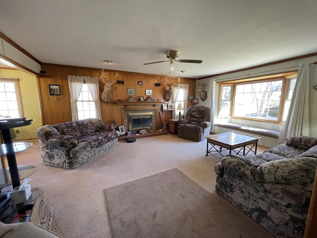 carpeted living area with ceiling fan, ornamental molding, wood walls, and a fireplace