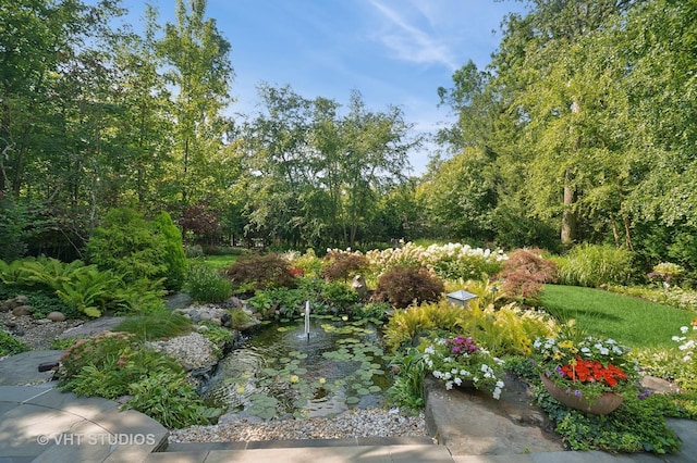 view of yard with a garden pond