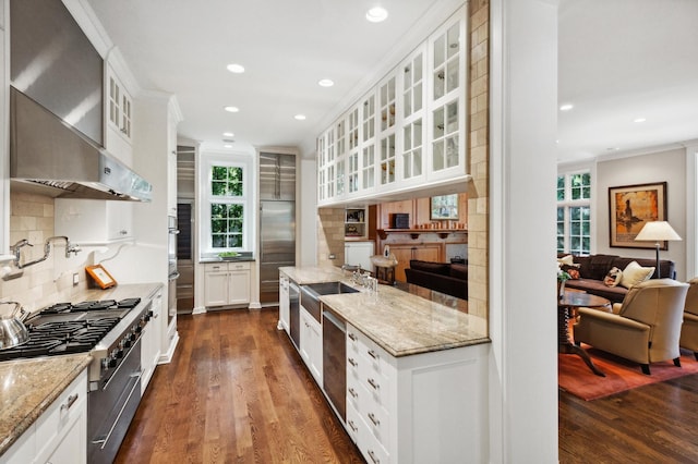 kitchen with a healthy amount of sunlight, a sink, ornamental molding, high end stove, and wall chimney exhaust hood