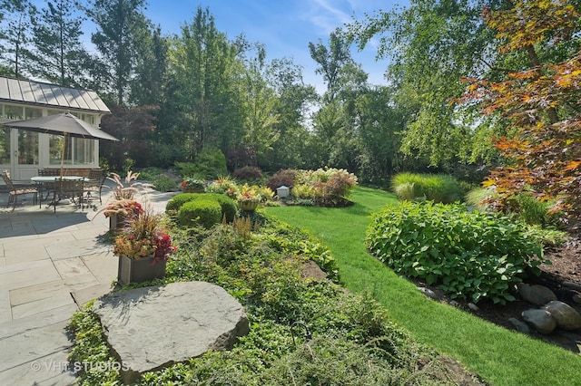 view of yard with a patio area