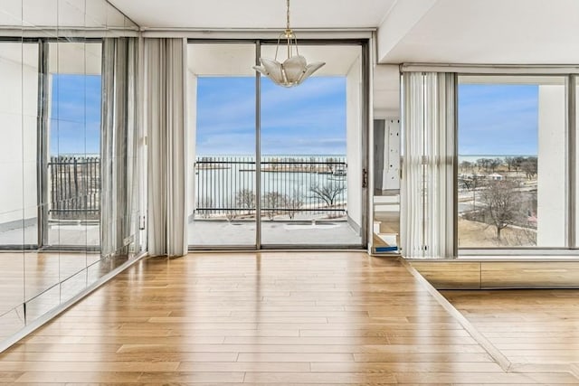 unfurnished dining area with a wall of windows, a wealth of natural light, and wood finished floors