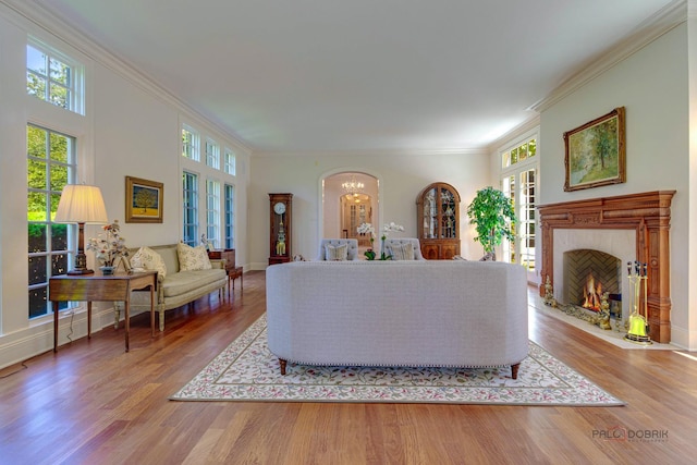 living area featuring a chandelier, a fireplace, crown molding, and wood finished floors