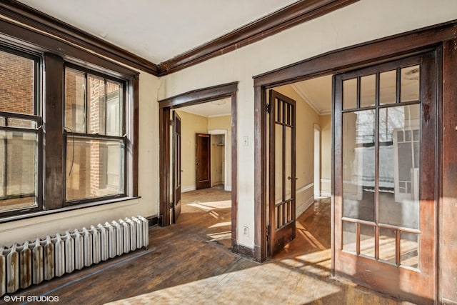 interior space featuring wood finished floors, a healthy amount of sunlight, ornamental molding, and radiator heating unit