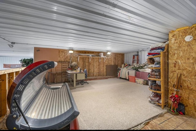 22915 Mcguire Rd, Wilmington, IL 60481 - view of garage