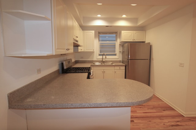 kitchen with a raised ceiling, stainless steel appliances, under cabinet range hood, white cabinetry, and a sink