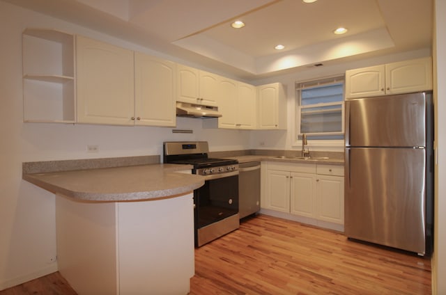 kitchen with a raised ceiling, appliances with stainless steel finishes, a peninsula, under cabinet range hood, and a sink