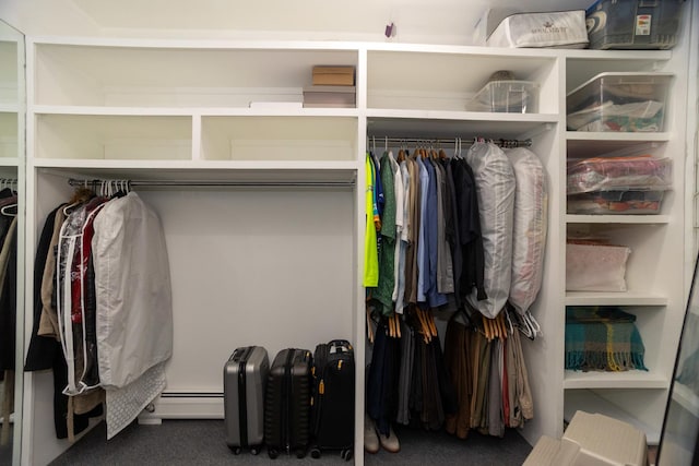 closet with baseboard heating