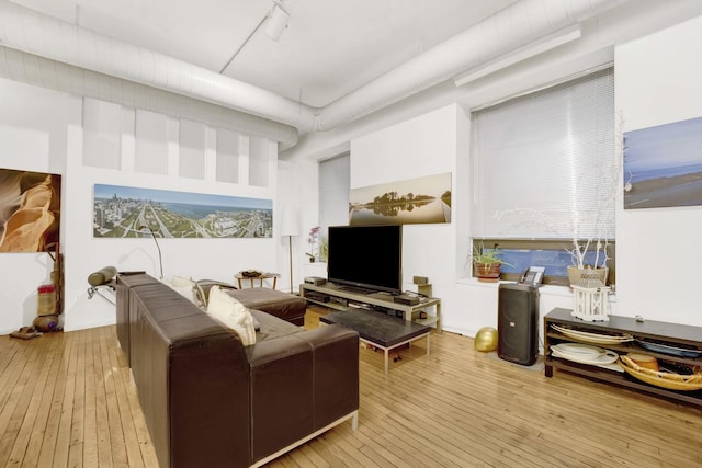 living room with hardwood / wood-style floors