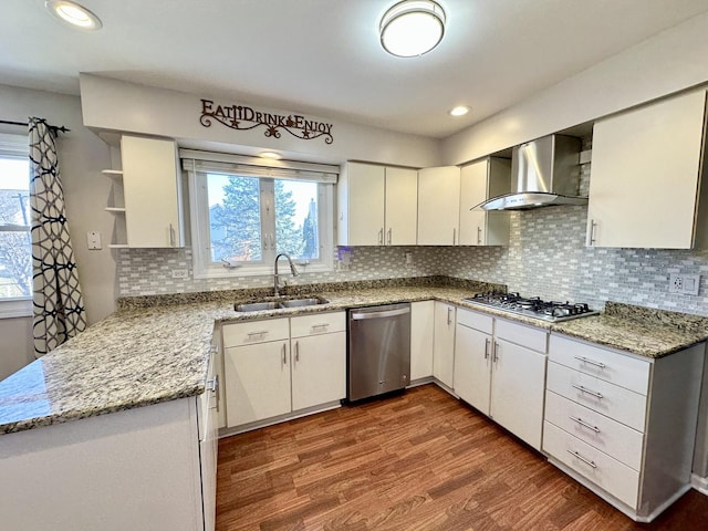 kitchen with a wealth of natural light, appliances with stainless steel finishes, a sink, wood finished floors, and wall chimney exhaust hood