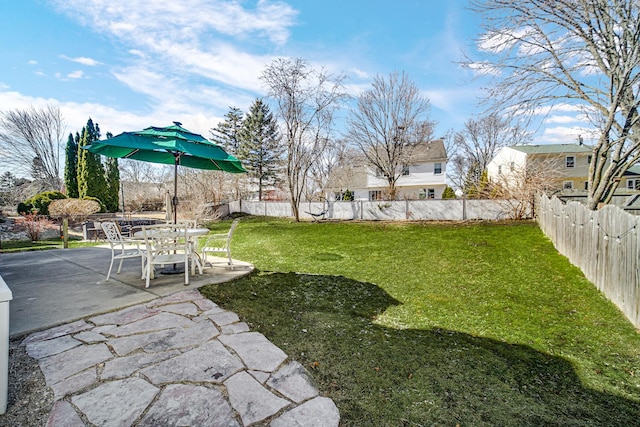 view of yard featuring a patio area and a fenced backyard