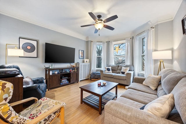 living area featuring ornamental molding, light wood finished floors, and a ceiling fan