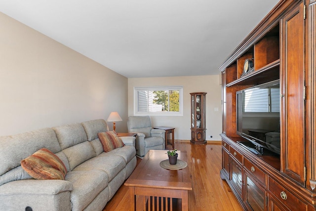 living room with baseboards and light wood finished floors