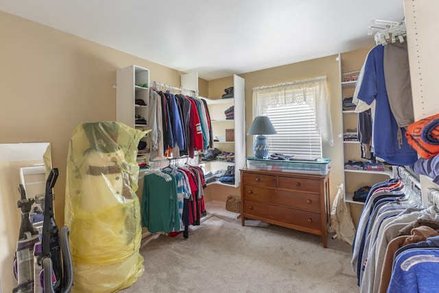 walk in closet featuring carpet