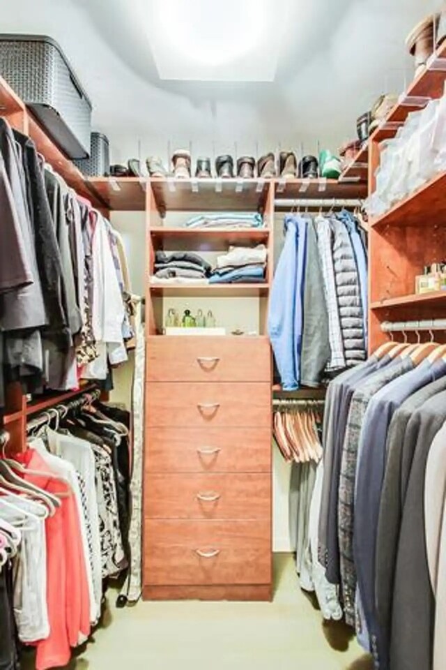 view of walk in closet