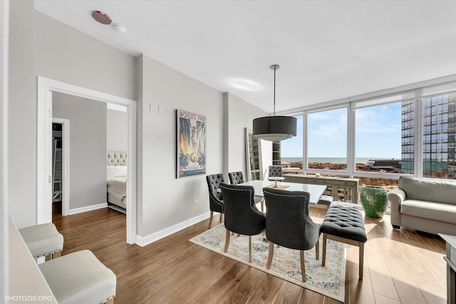 dining room featuring a wall of windows, baseboards, and wood finished floors