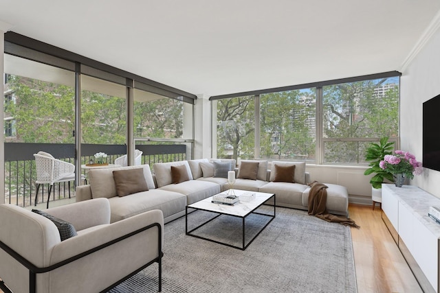 living area with light wood-style flooring and ornamental molding