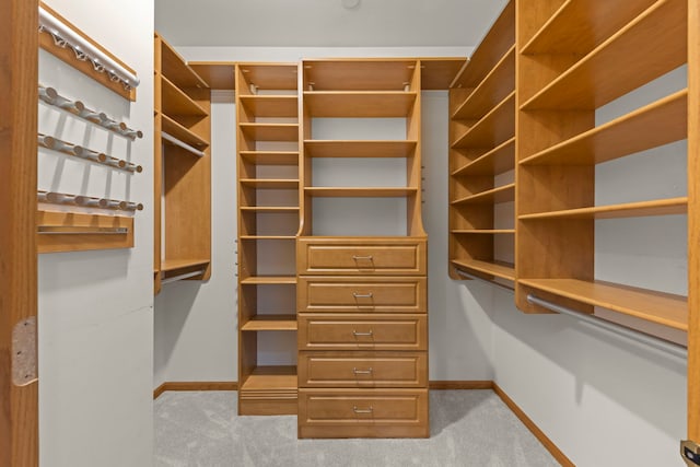 2811 Haven Ct, Naperville, IL 60564 - walk in closet featuring carpet floors