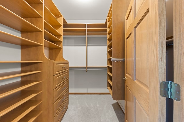 2811 Haven Ct, Naperville, IL 60564 - walk in closet with light carpet