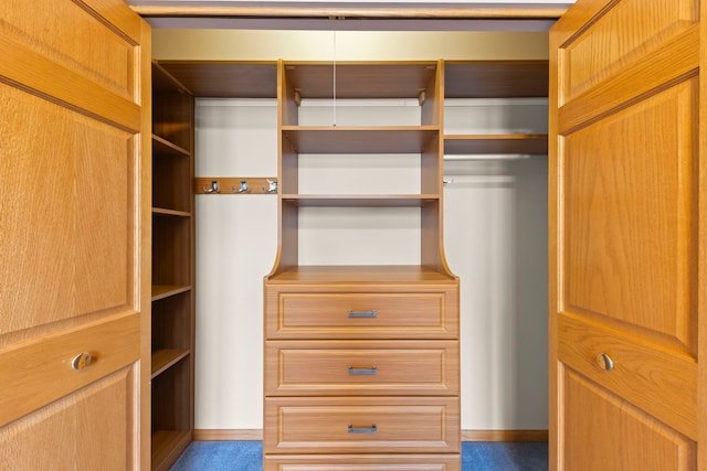 2811 Haven Ct, Naperville, IL 60564 - view of spacious closet