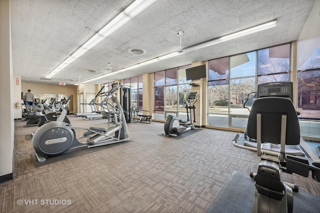 exercise room featuring expansive windows, visible vents, and carpet