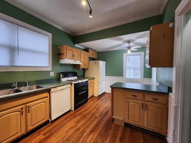 kitchen featuring white appliances, wainscoting, crown molding, under cabinet range hood, and a sink