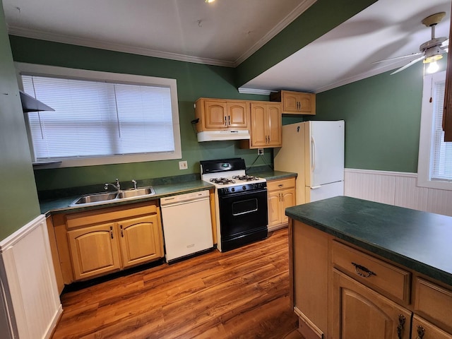 kitchen with white appliances, a wainscoted wall, ornamental molding, under cabinet range hood, and a sink