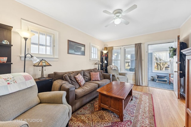 living area featuring light wood-type flooring, ceiling fan, and ornamental molding