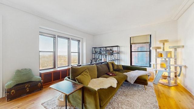 living room featuring ornamental molding and wood finished floors