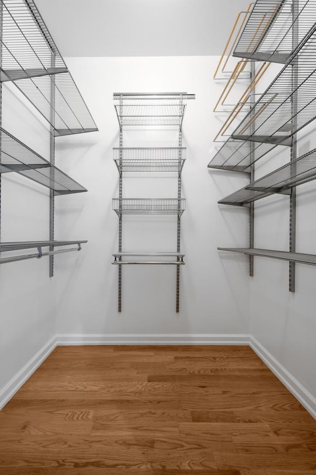 walk in closet featuring wood finished floors