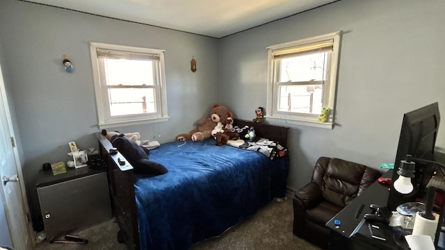 bedroom with carpet flooring