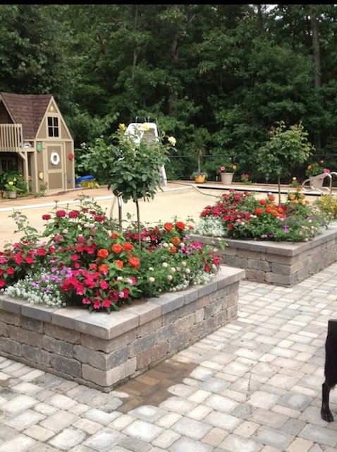 view of property's community with a patio area