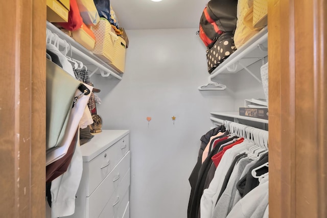 view of spacious closet