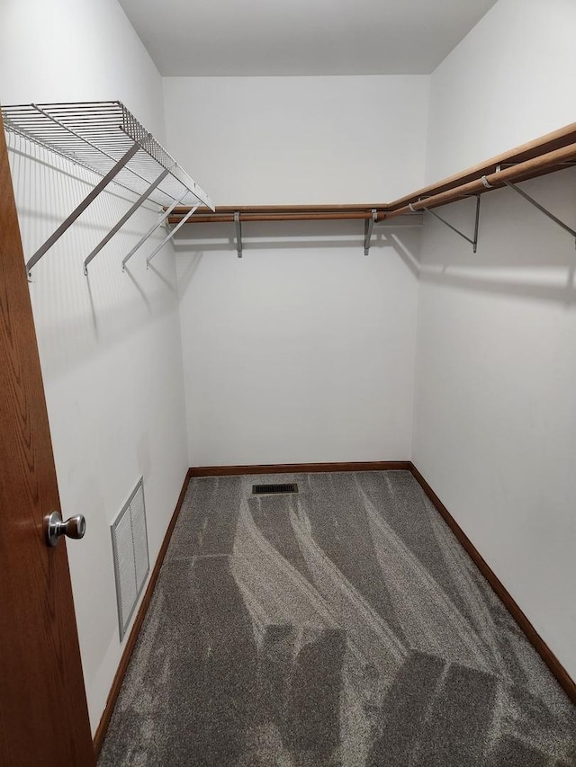 spacious closet with carpet and visible vents