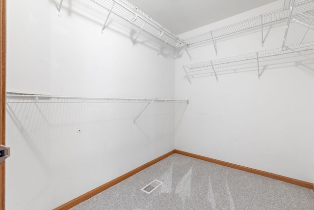 spacious closet featuring visible vents and carpet flooring