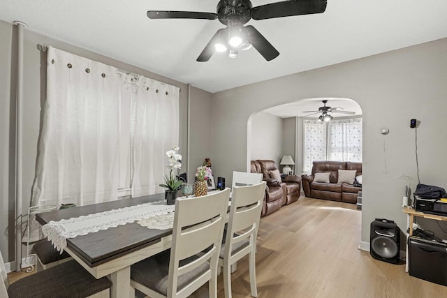 dining space featuring light wood-type flooring, arched walkways, and a ceiling fan