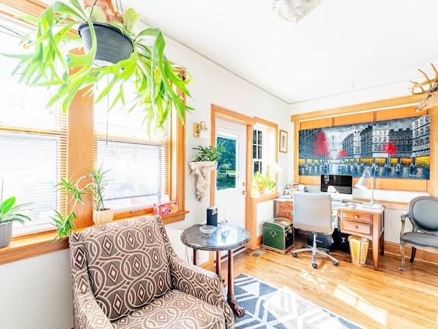 home office featuring wood finished floors